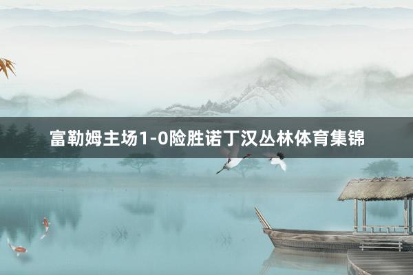 富勒姆主场1-0险胜诺丁汉丛林体育集锦