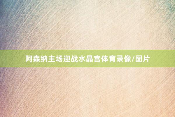 阿森纳主场迎战水晶宫体育录像/图片