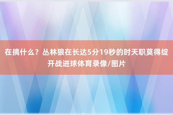 在搞什么？丛林狼在长达5分19秒的时天职莫得绽开战进球体育录像/图片