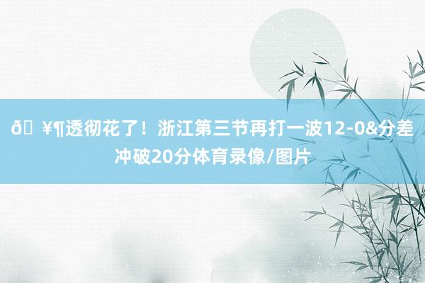 🥶透彻花了！浙江第三节再打一波12-0&分差冲破20分体育录像/图片