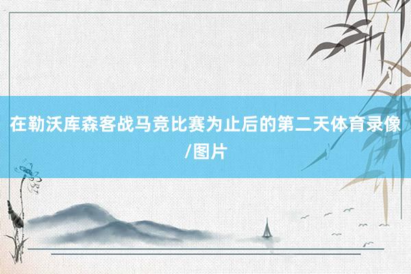 在勒沃库森客战马竞比赛为止后的第二天体育录像/图片