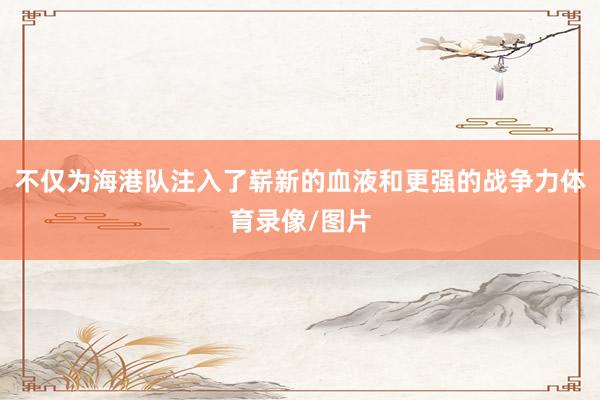 不仅为海港队注入了崭新的血液和更强的战争力体育录像/图片